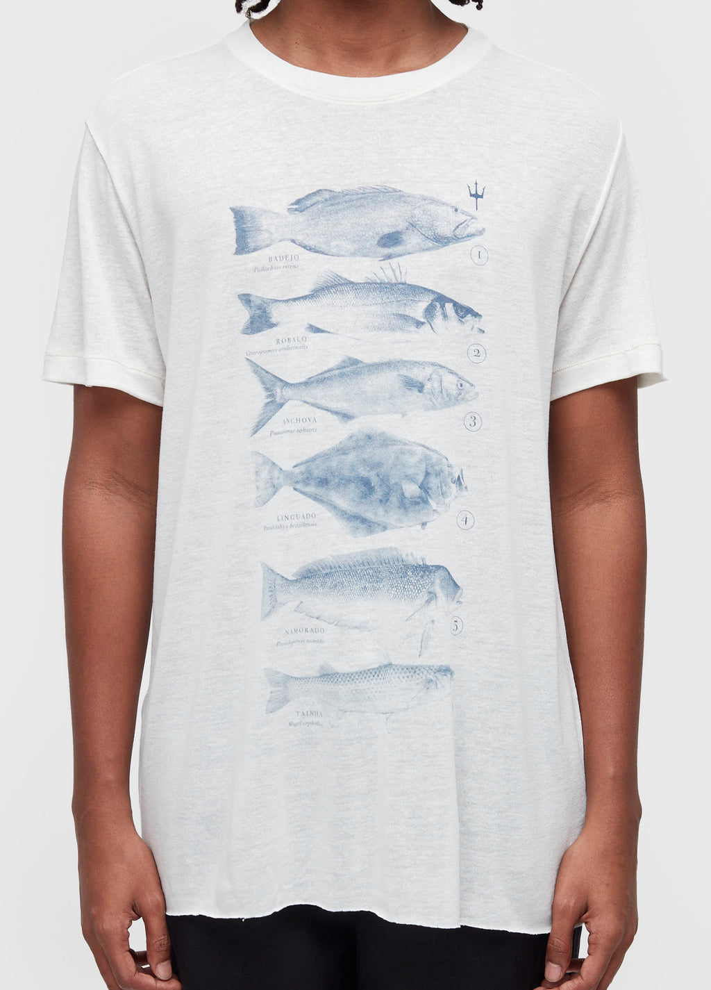 T-SHIRT PEIXES SPECIES CAIÇARA MC