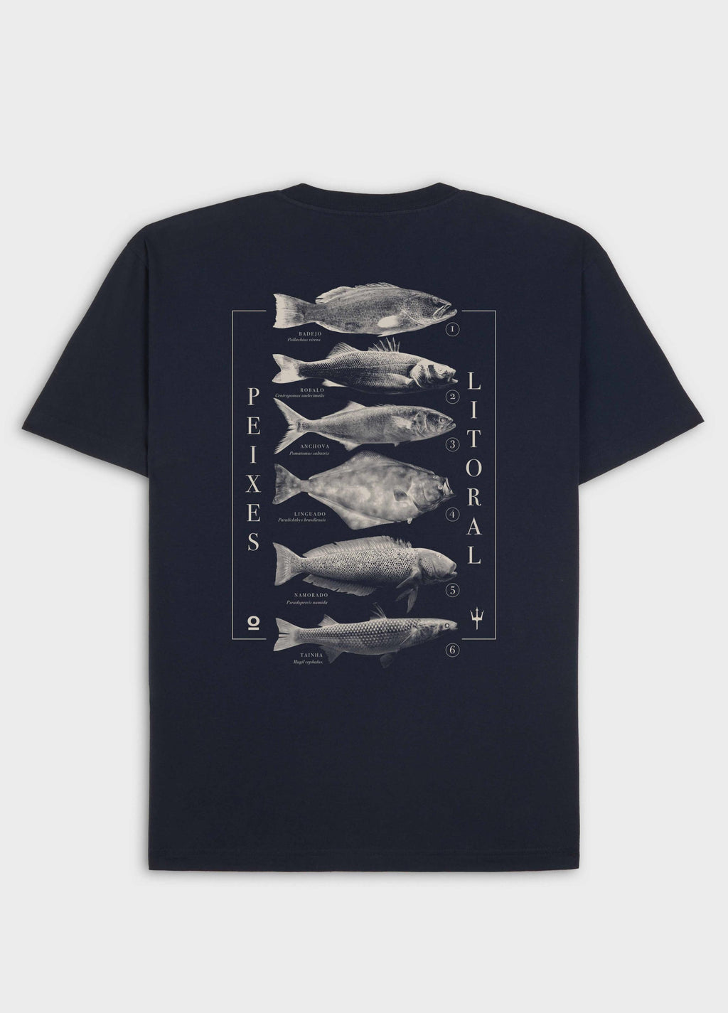 T-SHIRT VINTAGE PEIXES DO LITORAL MC