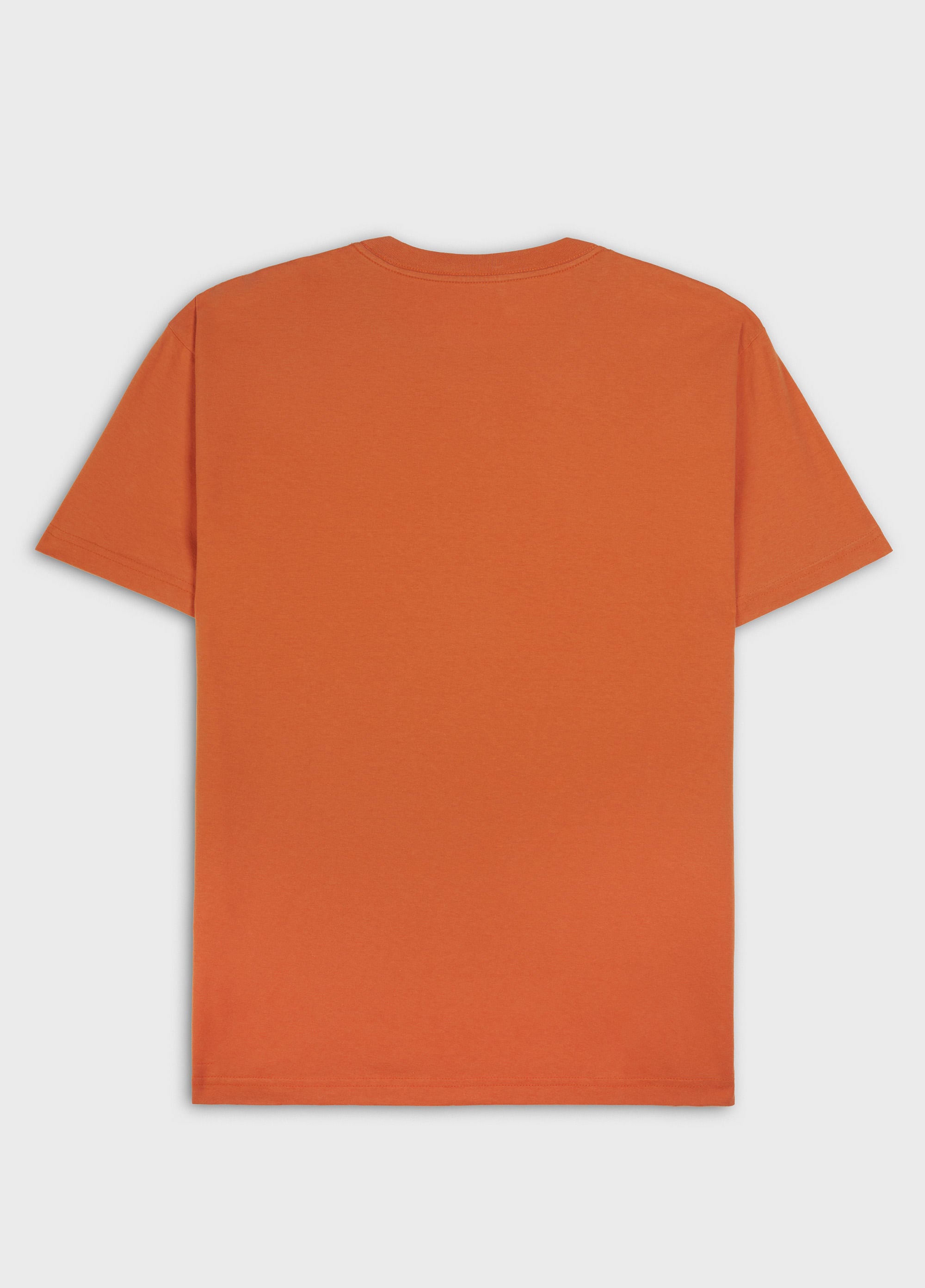 T-SHIRT VINTAGE SPRAYICON MC