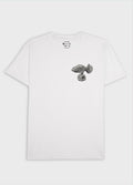 T-SHIRT STONE PEIXE PEDRA MC
