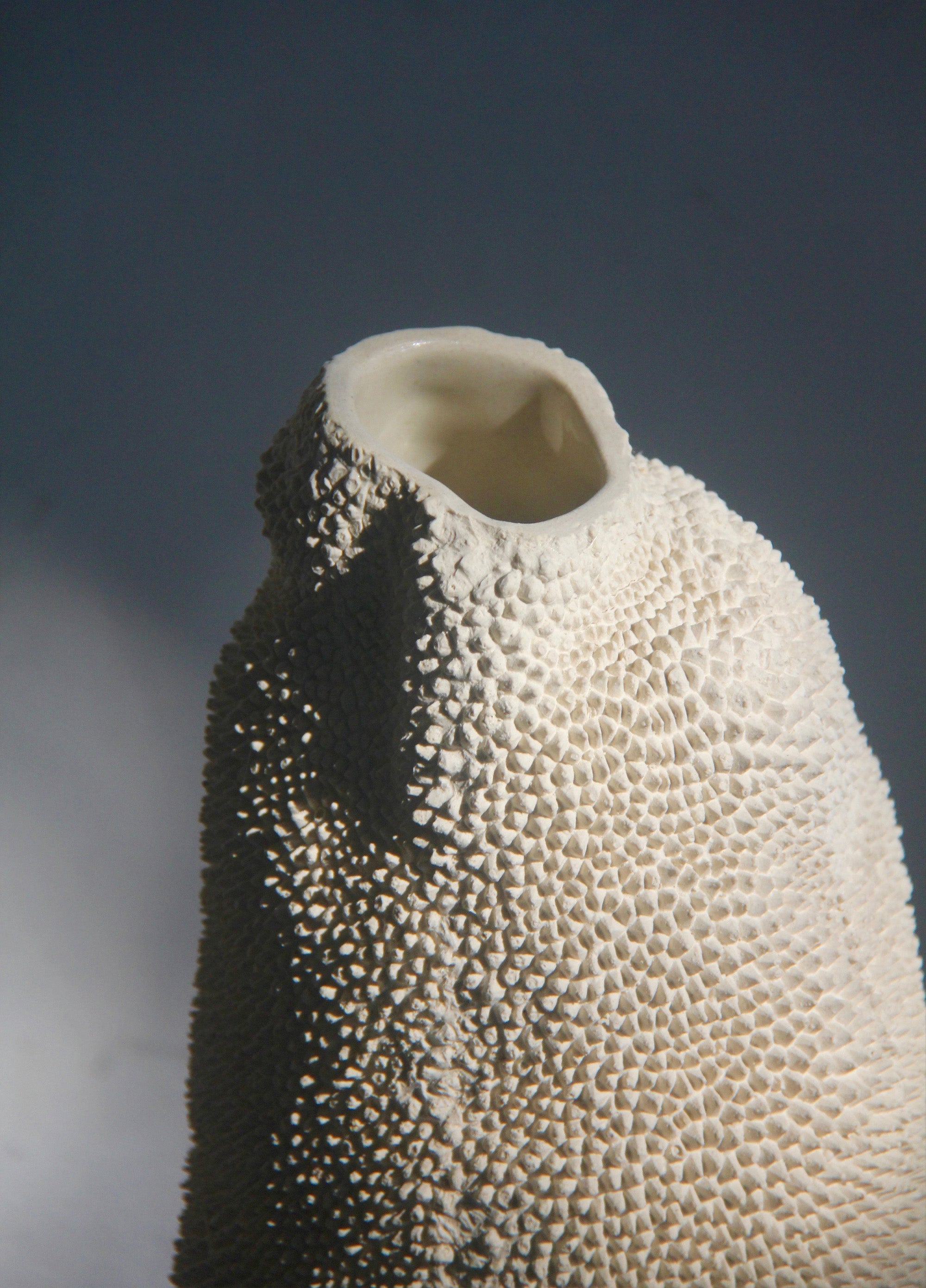 JACA VASE 7