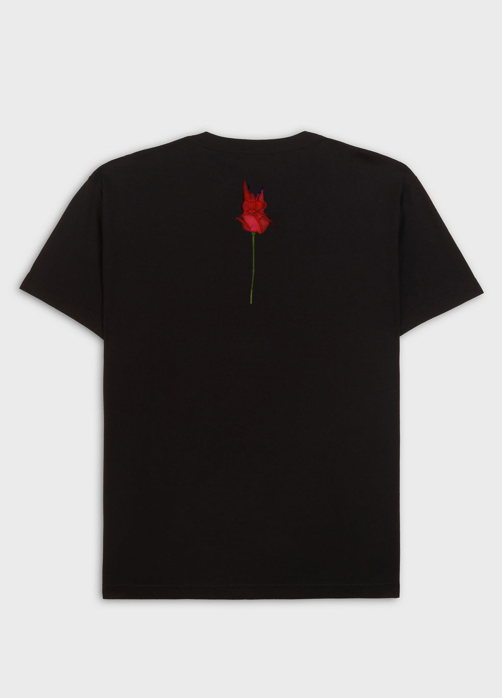 T-SHIRT VINTAGE SK82 MC