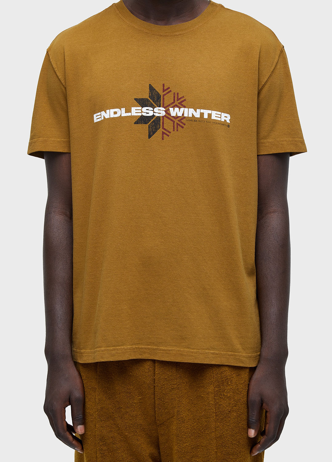 T-SHIRT DOUBLE ENDLESS WINTER MC