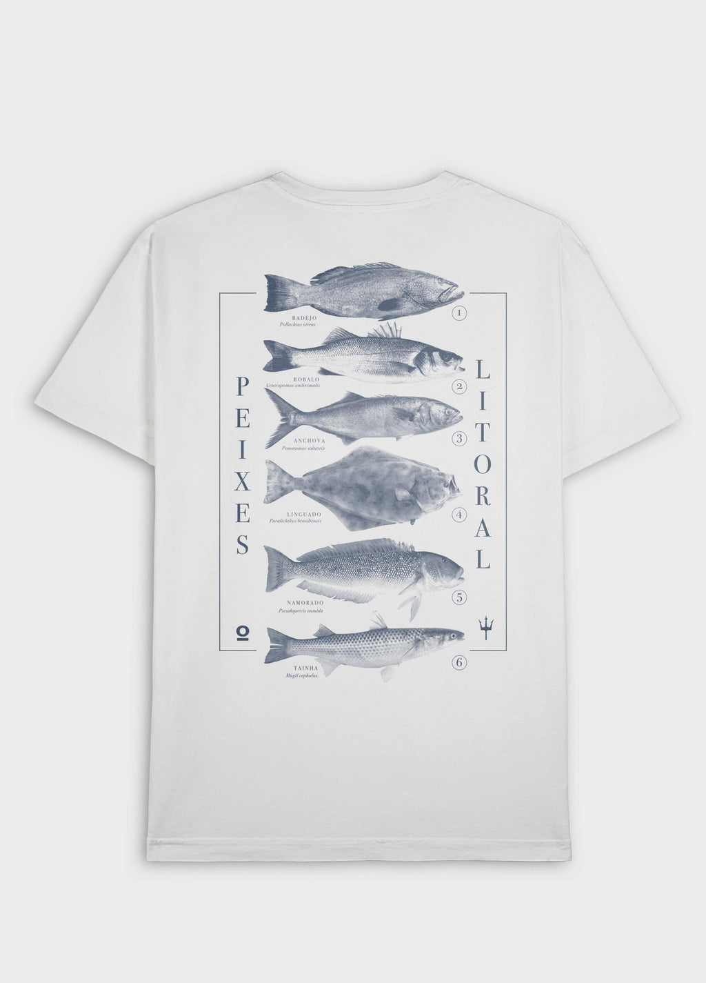 T-SHIRT STONE PEIXES DO LITORAL BRANCO